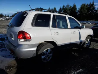 2005 Hyundai Santa Fe GLS with VIN KM8SC13D75U938125, listed as a Copart auction lot 81265824 with 175,296 mi miles and Salvage Title. Bid and sale history available at carsss.com. Image 3.