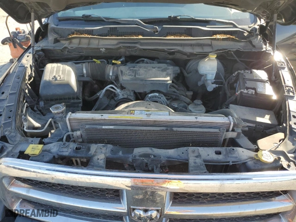2010 Dodge Ram 1500 SLT with VIN 1D7RB1CP0AS203479, listed as a Copart auction lot 73528044 with 206,135 mi miles and Salvage Title. Bid and sale history available at carsss.com. Image 12.