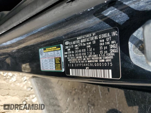 2020 Kia Telluride EX with VIN 5XYP34HC9LG001075, listed as a Copart auction lot 46814085 with 95,428 mi miles and Salvage Title. Bid and sale history available at DreamBid. Image 13.
