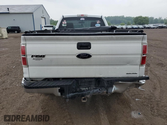 2013 Ford F-150 XL with VIN 1FTMF1CM8DKF92567, listed as a Copart auction lot 59965535 with 133,266 mi miles and Salvage title. Bid and sale history available at DreamBid. Image 6.