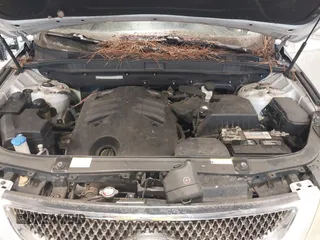2009 Hyundai Veracruz GLS with VIN KM8NU73C69U082889, listed as a IAAI auction lot 42613377 with 155,256 mi miles and . Bid and sale history available at DreamBid. Image 10.