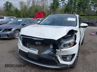 2017 Kia Sorento EX with VIN 5XYPHDA56HG229930, listed as a IAAI auction lot 42191578 with 161,417 mi miles and . Bid and sale history available at DreamBid. Image 6.