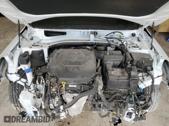 2024 Kia Telluride EX X-Line with VIN 5XYP3DGC1RG520082, listed as a Copart auction lot 53467105 with 20,251 mi miles and Salvage title. Bid and sale history available at DreamBid. Image 12.