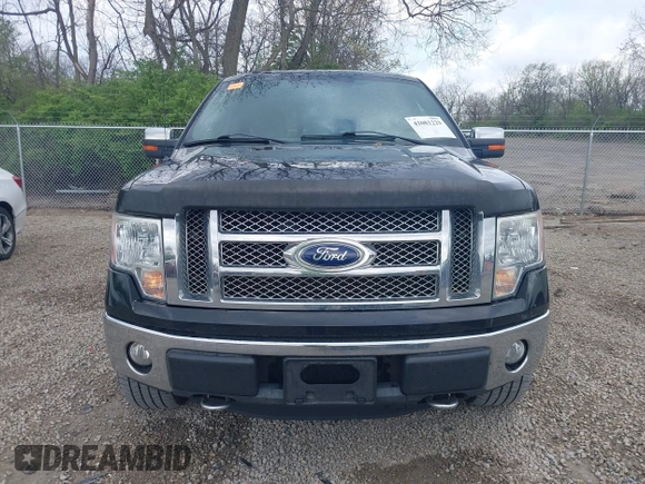 2011 Ford F-150 XL with VIN 1FTFW1EF5BFA66006, listed as a IAAI auction lot 42081229 with 175,161 mi miles. Bid and sale history available at carsss.com. Image 12.