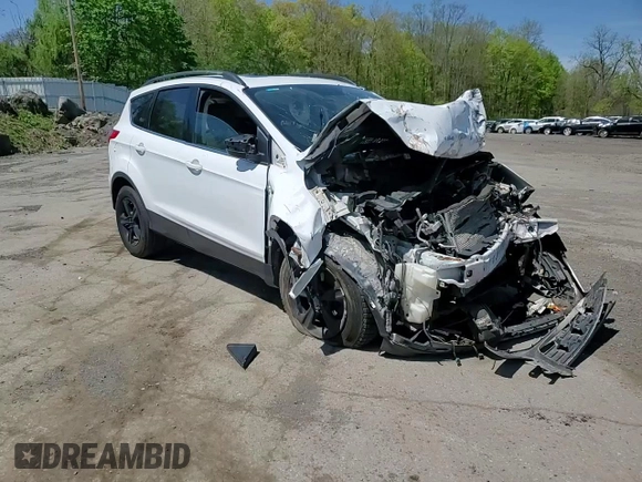 2014 Ford Escape SE with VIN 1FMCU9G98EUD26277, listed as a Copart auction lot 54953985 with Not provided miles and Salvage title. Bid and sale history available at DreamBid. Image 14.