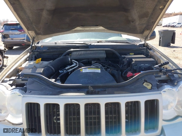 2010 Jeep Grand Cherokee Laredo with VIN 1J4PR4GK2AC125918, listed as a IAAI auction lot 41899078 with 236,229 mi miles. Bid and sale history available at carsss.com. Image 10.
