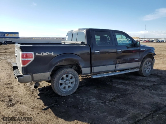 2014 Ford F-150 XL with VIN 1FTFW1ET5EKE55083, listed as a Copart auction lot 49878055 with 178,296 mi miles and Salvage Title. Bid and sale history available at carsss.com. Image 3.