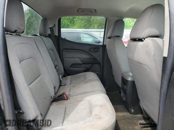 2017 Chevrolet Colorado 4WD WT with VIN 1GCGTBEN0H1314825, listed as a Copart auction lot 54017085 with 171,989 mi miles and Salvage title. Bid and sale history available at DreamBid. Image 10.