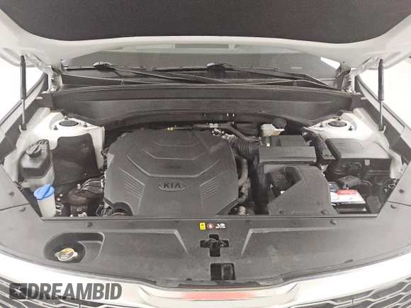 2021 Kia Telluride EX with VIN 5XYP34HC4MG124901, listed as a Copart auction lot 50641025 with 50,474 mi miles and Clean Title. Bid and sale history available at DreamBid. Image 12.