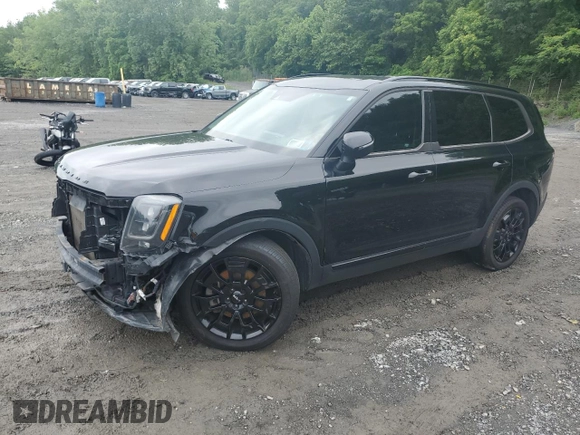 2022 Kia Telluride EX with VIN 5XYP3DHC5NG207139, listed as a Copart auction lot 60104755 with 101,632 mi miles and Salvage title. Bid and sale history available at DreamBid. Image 1.