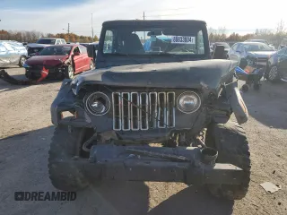 2002 Jeep Wrangler SE with VIN 1J4FA29P72P723223, listed as a Copart auction lot 80833004 with Not Provided miles and Salvage Title. Bid and sale history available at DreamBid. Image 5.