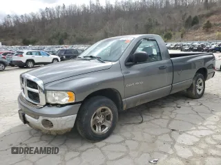 2005 Dodge 1500 SLT with VIN 1D7HA16N85J519734, listed as a Copart auction lot 46169615 with Not Provided miles and Salvage Title. Bid and sale history available at carsss.com. Image 1.