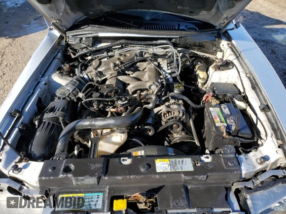 2004 Ford Mustang Deluxe with VIN 1FAFP446X4F154431, listed as a Copart auction lot 42685895 with 201,999 mi miles and Non repairable. Bid and sale history available at DreamBid. Image 11.