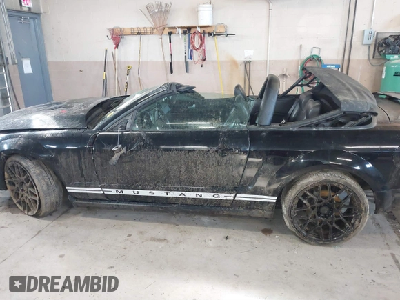 2005 Ford Mustang Deluxe with VIN 1ZVHT84N755243052, listed as a IAAI auction lot 41881137 with 109,366 mi miles and . Bid and sale history available at DreamBid. Image 14.