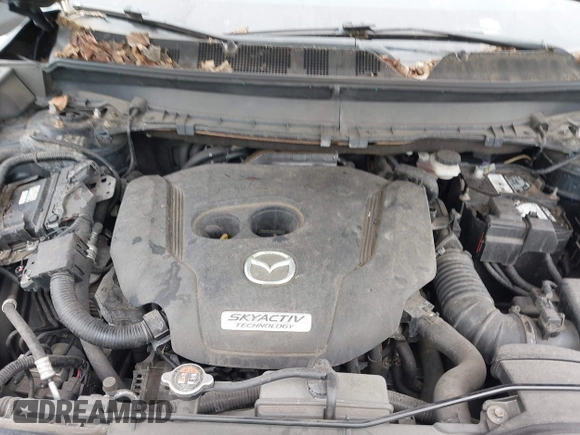 2018 Mazda CX-9 Grand Touring with VIN JM3TCBDY8J0209737, listed as a IAAI auction lot 42374826 with Not provided miles and . Bid and sale history available at DreamBid. Image 10.