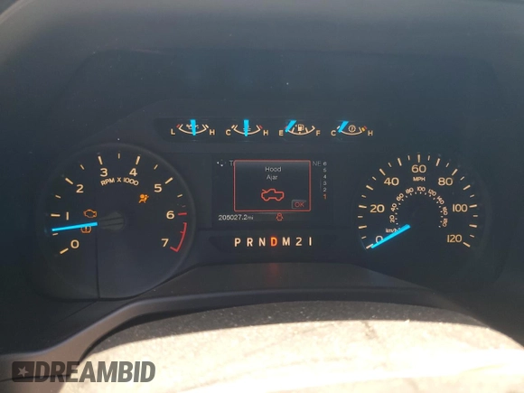2016 Ford F-150 XL with VIN 1FTEW1CP0GKF41082, listed as a Copart auction lot 62001965 with 205,027 mi miles and Salvage title. Bid and sale history available at DreamBid. Image 9.