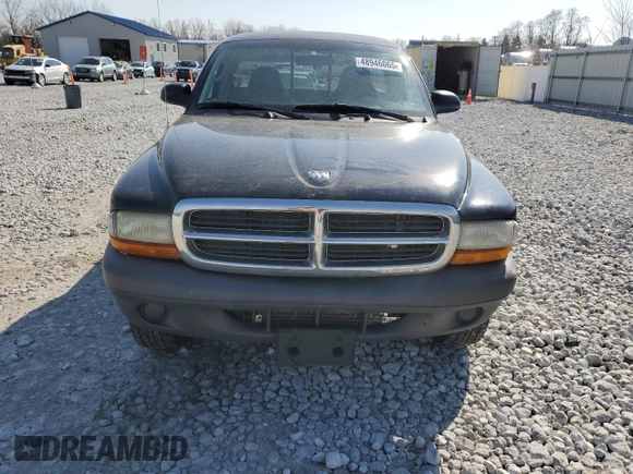 2004 Dodge Dakota with VIN 1D7GG16K54S588745, listed as a Copart auction lot 48946065 with 123,803 mi miles and Salvage Title. Bid and sale history available at DreamBid. Image 5.