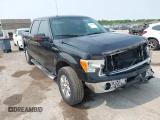 2013 Ford F-150 XL with VIN 1FTFW1EF2DFB84419, listed as a IAAI auction lot 42393003 with 197,862 mi miles and . Bid and sale history available at DreamBid. Image 1.