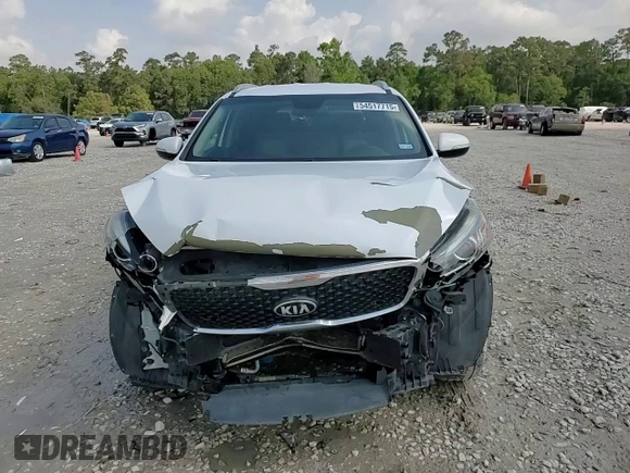 2018 Kia Sorento L z VIN 5XYPG4A35JG342050, wystawiony jako Copart lot #54517715 z przebiegiem 121 415 mil mil oraz Szkoda całkowita • Salvage title. Historia ofert i sprzedaży dostępna na DreamBid. Obrazek 14.