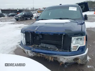 2011 Ford F-150 XL with VIN 1FTFX1ET6BFC39423, listed as a IAAI auction lot 41300035 with 1 mi miles. Bid and sale history available at carsss.com. Image 11.