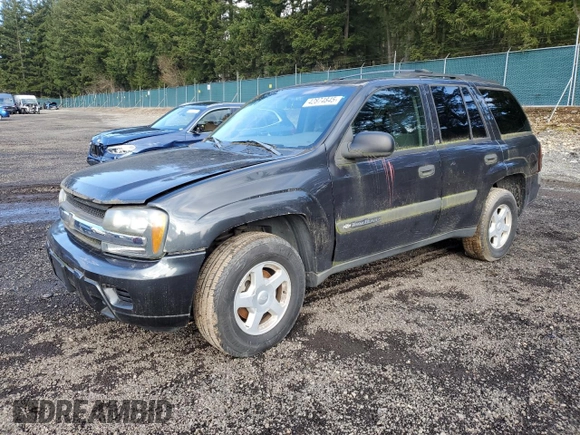 2003 Chevrolet TrailBlazer LTZ with VIN 1GNDT13S332309151, listed as a Copart auction lot 42874845 with 144,896 mi miles and Clean Title. Bid and sale history available at DreamBid. Image 1.