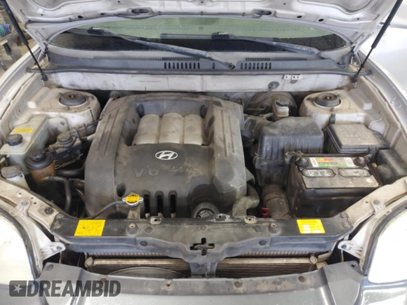 2003 Hyundai Santa Fe GLS z VIN KM8SC13DX3U431975, wystawiony jako Copart lot #56180275 z przebiegiem 239 295 mil mil oraz Czysty tytuł • Clean title. Historia ofert i sprzedaży dostępna na DreamBid. Obrazek 12.