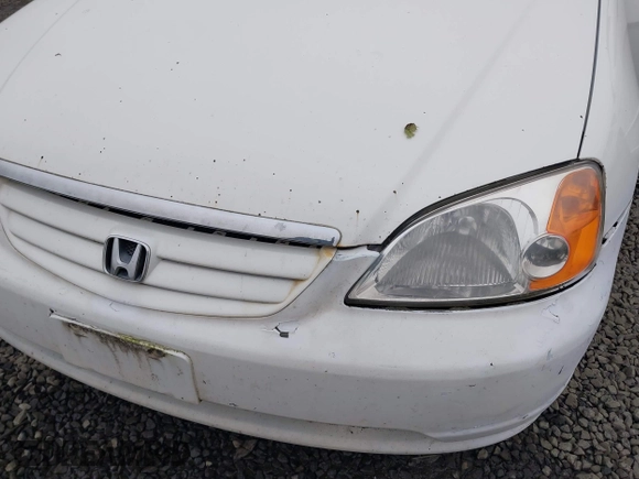 2002 Honda Civic EX with VIN 1HGES26702L074649, listed as a IAAI auction lot 40975048 with 151,975 mi miles and . Bid and sale history available at DreamBid. Image 6.