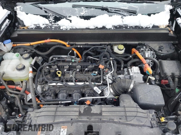 2023 Ford Maverick XL with VIN 3FTTW8E3XPRA52341, listed as a IAAI auction lot 41560716 with 40,078 mi miles and . Bid and sale history available at DreamBid. Image 10.