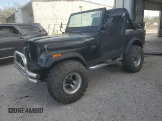 1986 Jeep CJ with VIN 1JCCM87E9GT012320, listed as a Copart auction lot 76745944 with 185,443 mi miles and Clean Title. Bid and sale history available at carsss.com. Image 1.