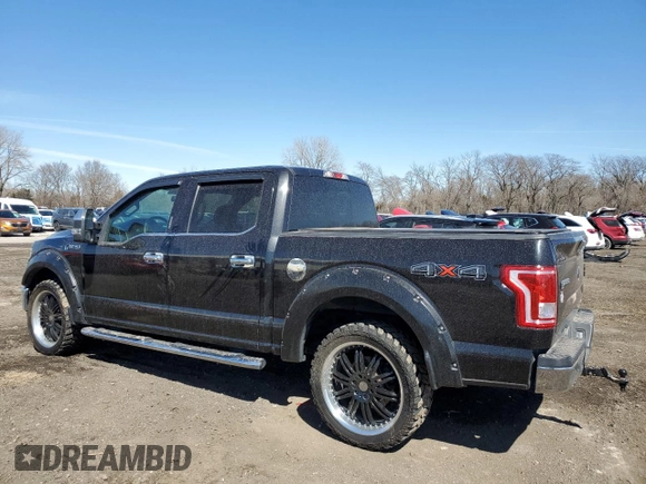 2015 Ford F-150 XLT with VIN 1FTEW1EF4FKD57184, listed as a Copart auction lot 49536075 with 75,767 mi miles and Salvage Title. Bid and sale history available at DreamBid. Image 2.