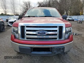 2012 Ford F-150 XL with VIN 1FTFX1CT2CKE12821, listed as a Copart auction lot 77806674 with Not Provided miles and Clean Title. Bid and sale history available at carsss.com. Image 5.