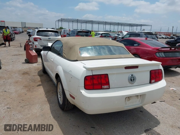 2009 Ford Mustang with VIN 1ZVHT84N595112837, listed as a IAAI auction lot 42383859 with 146,605 mi miles and . Bid and sale history available at DreamBid. Image 3.