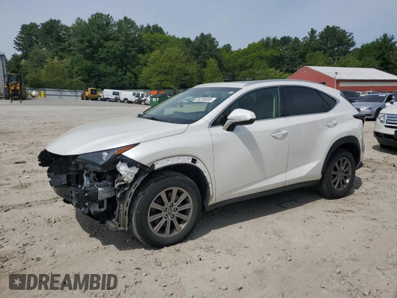 2019 Lexus NX 300 with VIN JTJBARBZ2K2179846, listed as a Copart auction lot 58236005 with 76,809 mi miles and Salvage title. Bid and sale history available at DreamBid. Image 1.