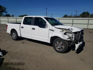 2017 Ford F-150 XL with VIN 1FTEW1C83HKD58172, listed as a Copart auction lot 80305554 with 131,377 mi miles and Salvage Title. Bid and sale history available at carsss.com. Image 4.