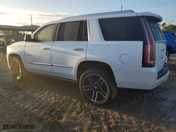 2020 Cadillac Escalade Premium Luxury with VIN 1GYS3CKJ6LR231499, listed as a Copart auction lot 73657194 with 0 mi miles and Salvage Title. Bid and sale history available at carsss.com. Image 2.