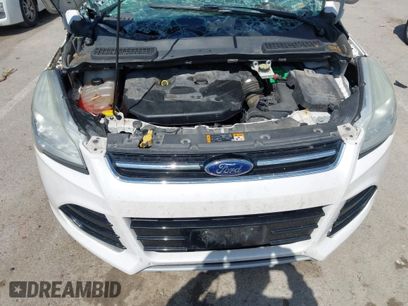 2013 Ford Escape SEL with VIN 1FMCU9H96DUC33593, listed as a IAAI auction lot 42328069 with 159,154 mi miles and . Bid and sale history available at DreamBid. Image 10.