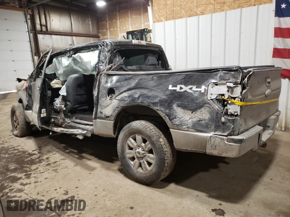 2011 Ford F-150 XL with VIN 1FTFW1EF9BFD15357, listed as a Copart auction lot 49327595 with 182,707 mi miles and Salvage title. Bid and sale history available at DreamBid. Image 2.