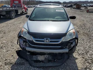 2010 Honda CR-V EX with VIN 5J6RE4H51AL006156, listed as a Copart auction lot 50499315 with 150,871 mi miles and Salvage Title. Bid and sale history available at carsss.com. Image 5.