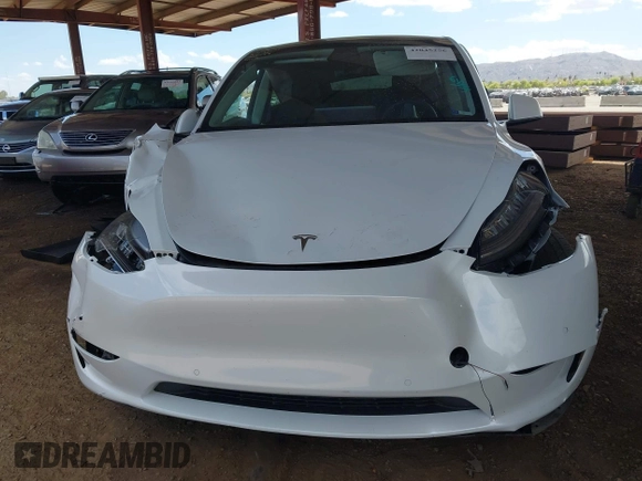 2021 Tesla Model Y Long Range with VIN 5YJYGAEE9MF254113, listed as a IAAI auction lot 42045256 with Not Provided miles. Bid and sale history available at carsss.com. Image 11.