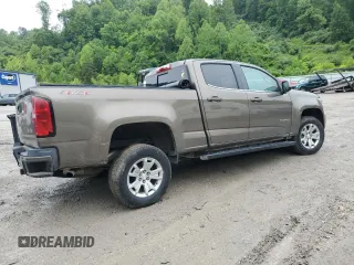 2016 Chevrolet Colorado 4WD LT with VIN 1GCGTCE38G1176244, listed as a Copart auction lot 58405935 with 225,059 mi miles and Salvage title. Bid and sale history available at DreamBid. Image 3.