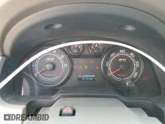 2009 Ford Focus S with VIN 1FAHP34N79W178011, listed as a Copart auction lot 51120195 with 123,930 mi miles and Salvage Title. Bid and sale history available at carsss.com. Image 9.