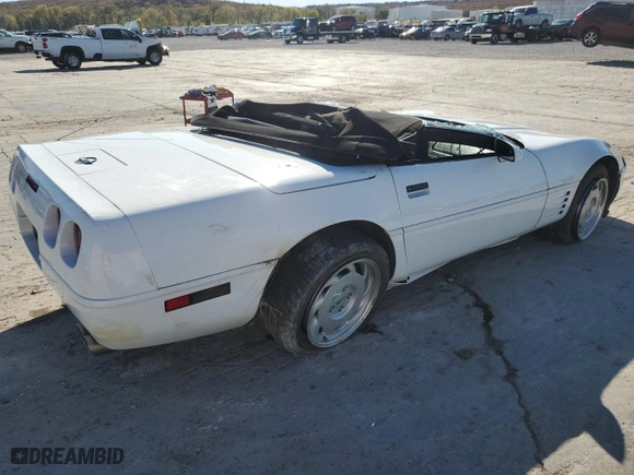 1994 Chevrolet Corvette with VIN 1G1YY32P3R5100058, listed as a Copart auction lot 78794044 with 0 mi miles and Salvage Title. Bid and sale history available at carsss.com. Image 3.