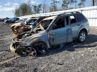 2011 Subaru Forester X with VIN JF2SHABC6BH769039, listed as a Copart auction lot 50199155 with Not Provided miles and Non Repairable. Bid and sale history available at DreamBid. Image 1.