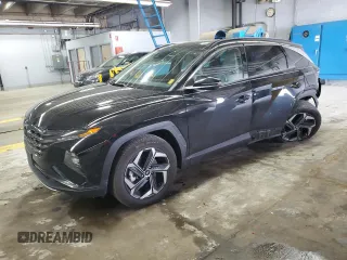 2023 Hyundai Tucson Limited with VIN KM8JECA11PU135484, listed as a Copart auction lot 57270255 with 30,457 mi miles and Salvage title. Bid and sale history available at DreamBid. Image 1.