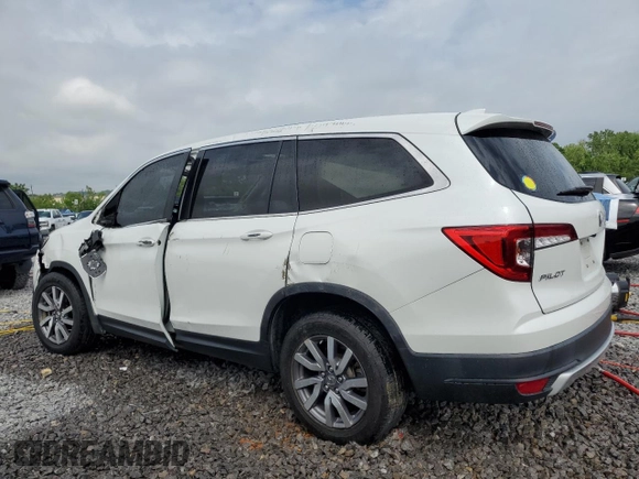 2021 Honda Pilot EX-L with VIN 5FNYF5H53MB024153, listed as a Copart auction lot 54103785 with 80,070 mi miles and Non repairable. Bid and sale history available at DreamBid. Image 2.