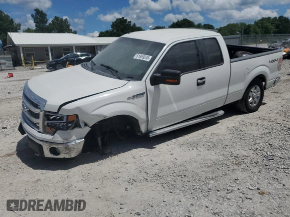 2013 Ford F-150 XL with VIN 1FTFX1EF4DFB02199, listed as a Copart auction lot 61959245 with 165,390 mi miles and Salvage title. Bid and sale history available at DreamBid. Image 1.