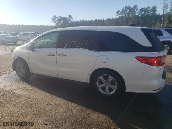 2019 Honda Odyssey EX-L with VIN 5FNRL6H75KB017979, listed as a Copart auction lot 42971285 with 0 mi miles and Salvage Title. Bid and sale history available at carsss.com. Image 2.