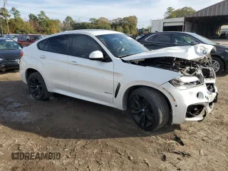 2019 BMW X6 sDrive35i with VIN 5UXKU0C54K0G92644, listed as a Copart auction lot 80919233 with 119,984 mi miles. Bid and sale history available at carsss.com. Image 4.