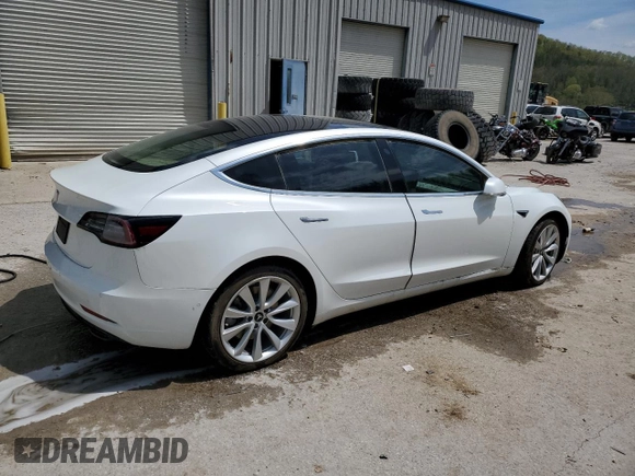 2019 Tesla Model 3 Mid Range with VIN 5YJ3E1EA3KF509087, listed as a Copart auction lot 46364865 with Not Provided miles and Salvage Title. Bid and sale history available at DreamBid. Image 3.