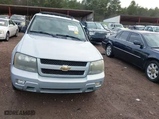 2007 Chevrolet TrailBlazer LS with VIN 1GNDS13SX72241889, listed as a IAAI auction lot 41244149 with 257,485 mi miles. Bid and sale history available at carsss.com. Image 6.